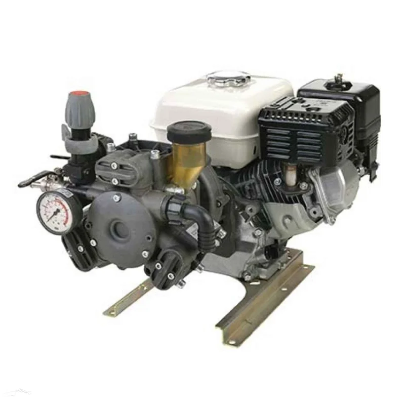 Women's ruffled stiletto heel pumps for a romantic styleHonda powered Silvan APS41 High Pressure diaphragm pump